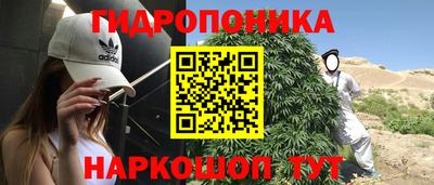 прущий лед Сланцы