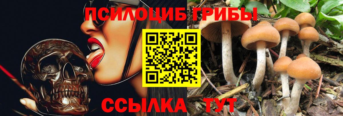 Псилоцибиновые грибы Psilocybe  наркота  Сальск  Вход с VPN  Псилоцибиновые грибы MAGIC MUSHROOMS 